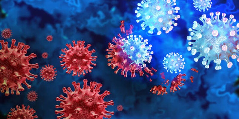 What to Know About Pathogens: A Comprehensive Overview