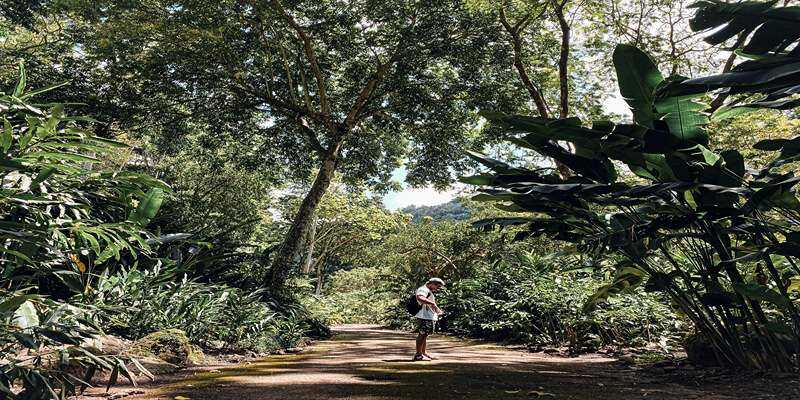Kaena Point Trail: Oahu’s Sunset Adventure